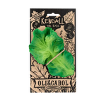 Load image into Gallery viewer, Oli &amp; Carol - Kendal The Kale Teether &amp; Bath Toy
