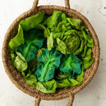 Load image into Gallery viewer, Oli &amp; Carol - Kendal The Kale Teether &amp; Bath Toy
