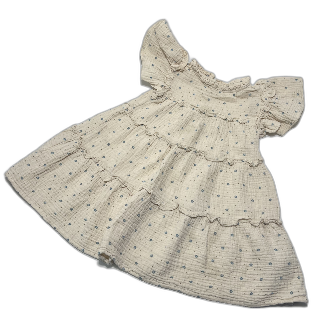 Fliink Dress - 2Y