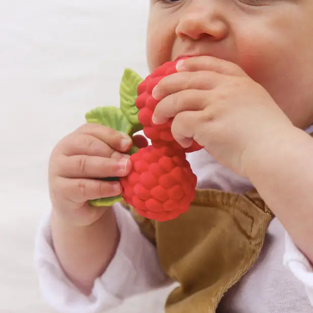 Oli & Carol - Raspberry Teether & Bath Toy