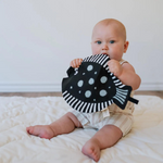 Load image into Gallery viewer, Wee Gallery - Organic Fish Crinkle Toy

