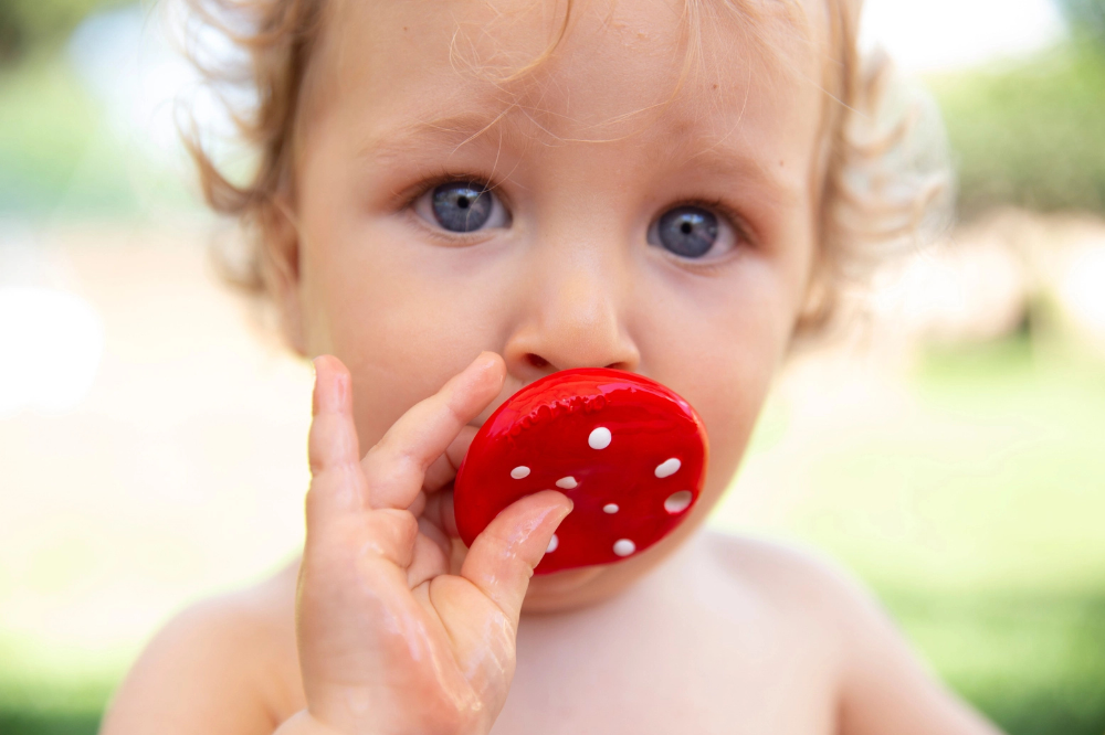 Oli & Carol | Mushroom Mini Teether