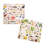 Load image into Gallery viewer, L'Explorateur - Explorer Transfers
