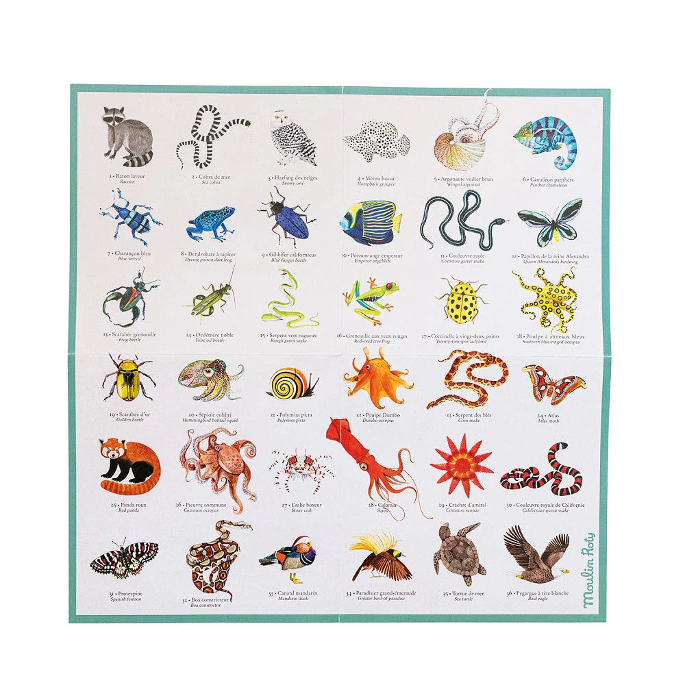 Tout Autour Du Monde - Animal Memory Game