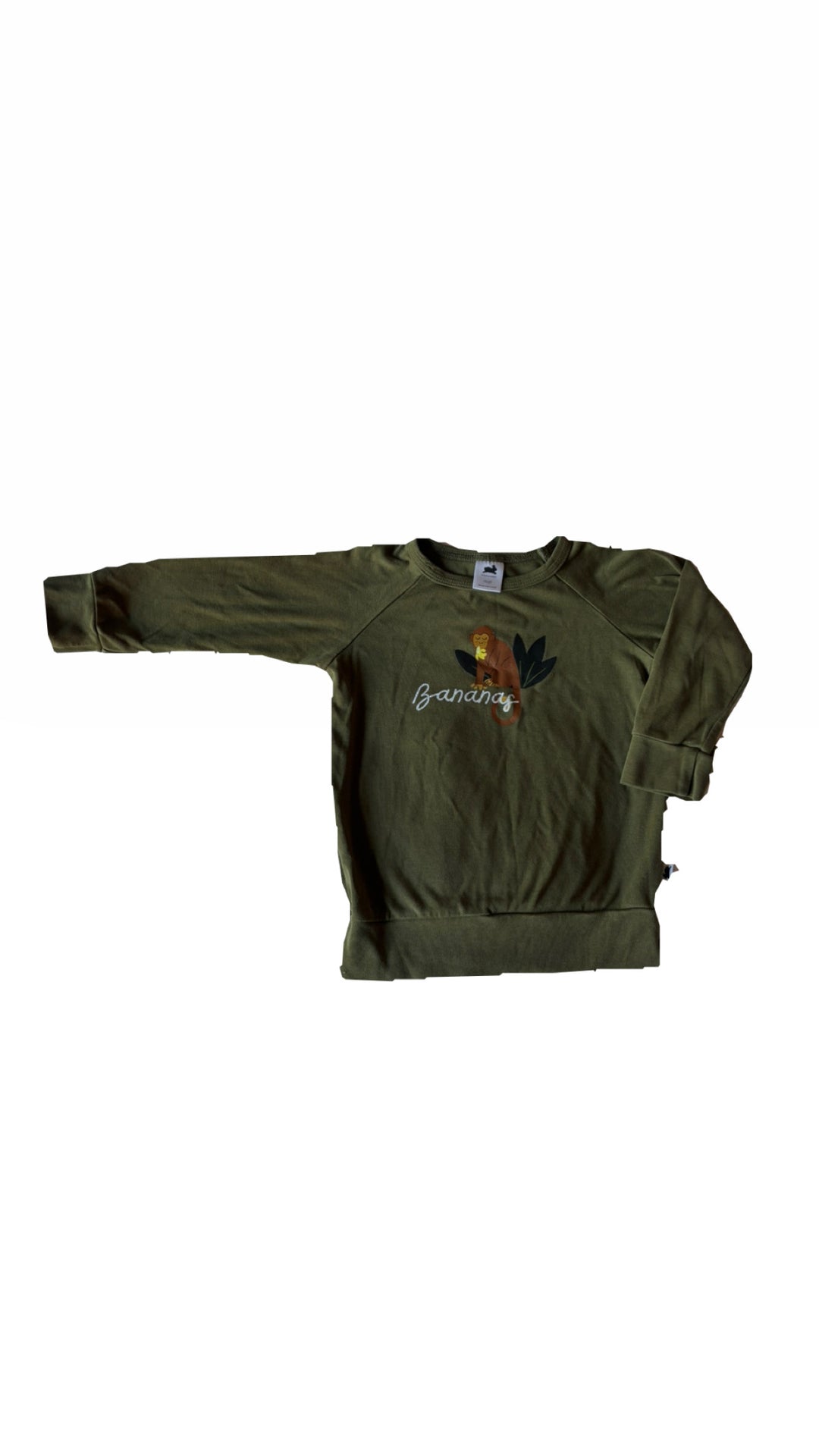 Little & Lively Crewneck Sweater - 1Y