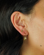 Load image into Gallery viewer, Sadie Western Earrings Set of 4
