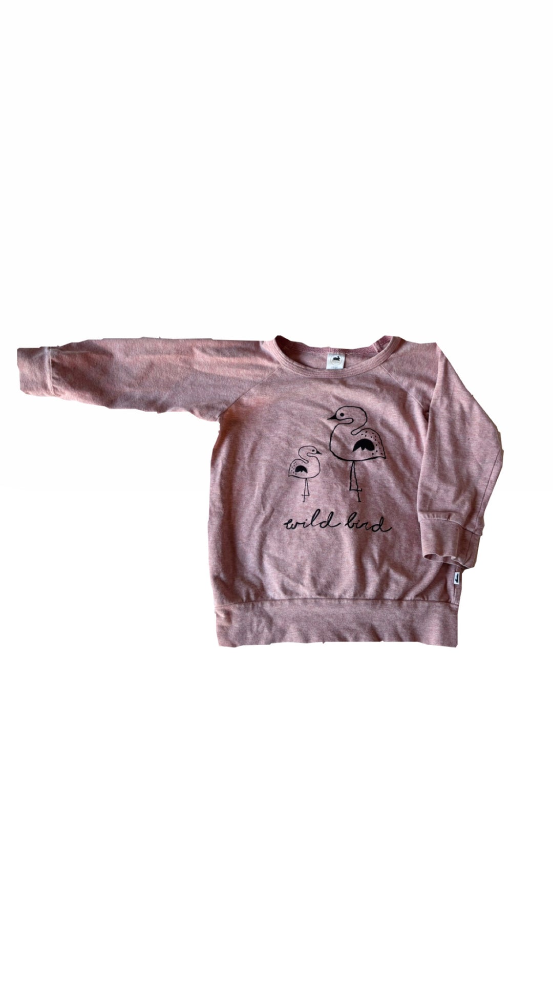 Little & Lively Crewneck Top - 18-24M