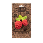 Load image into Gallery viewer, Oli &amp; Carol - Raspberry Teether &amp; Bath Toy
