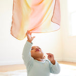 Load image into Gallery viewer, Sarah's Silks Mini Desert Playsilk
