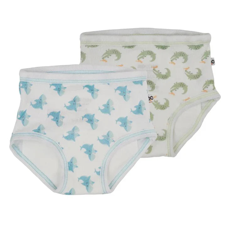 Training Pants 2pk -2/3T