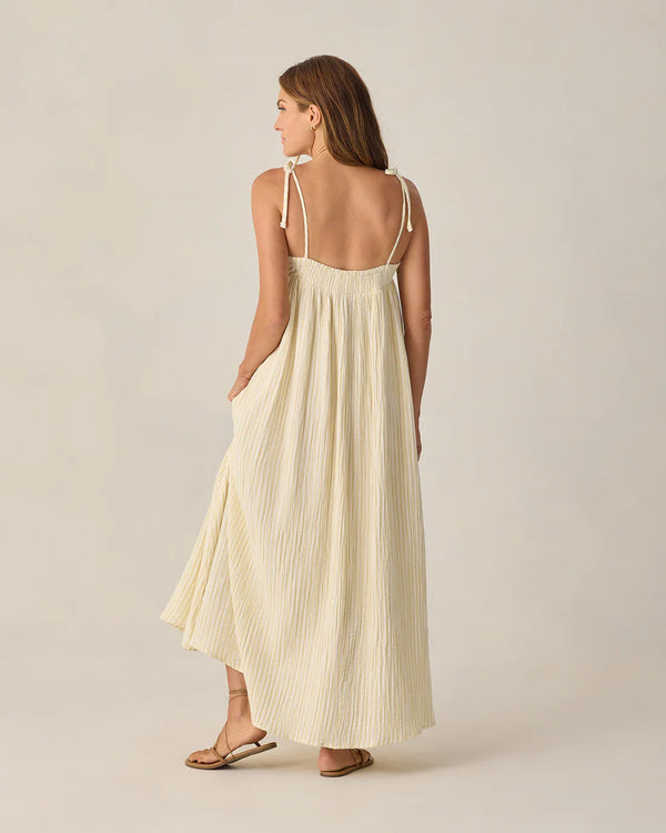 Women's Malea Dress Citron Stripe - S