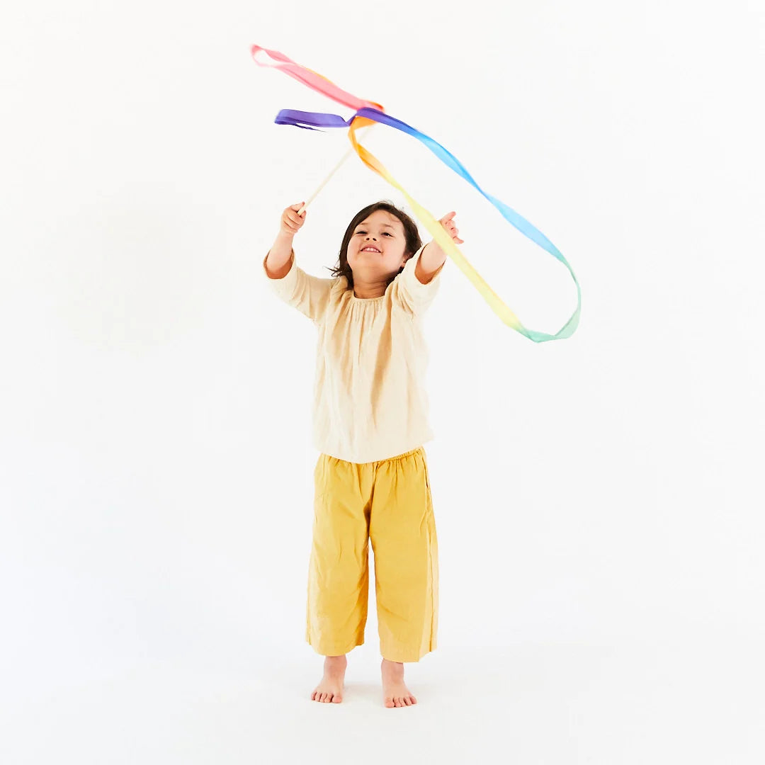 Sarah's Silks Rainbow Streamer