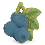 Load image into Gallery viewer, Oli &amp; Carol - Jerry the Blueberry
