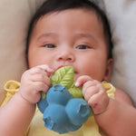 Load image into Gallery viewer, Oli &amp; Carol - Jerry the Blueberry
