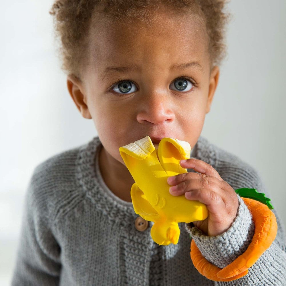 Oli & Carol Teether & Bath Toy