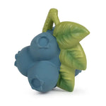 Load image into Gallery viewer, Oli &amp; Carol - Jerry the Blueberry
