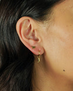 Load image into Gallery viewer, Sadie Western Earrings Set of 4
