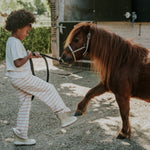 Load image into Gallery viewer, Wide Leg Trousers Sand Stripe
