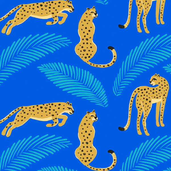 Shorty Sunsuit- One Cool Cat