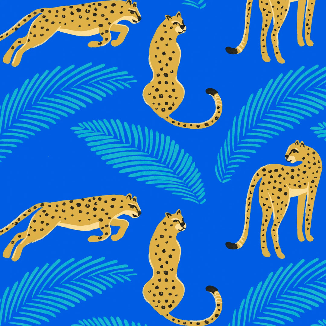 Full Zipper Sunsuit- One Cool Cat